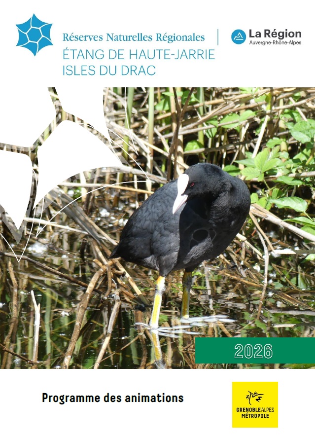 Programmation 2022 Bientôt en ligne !