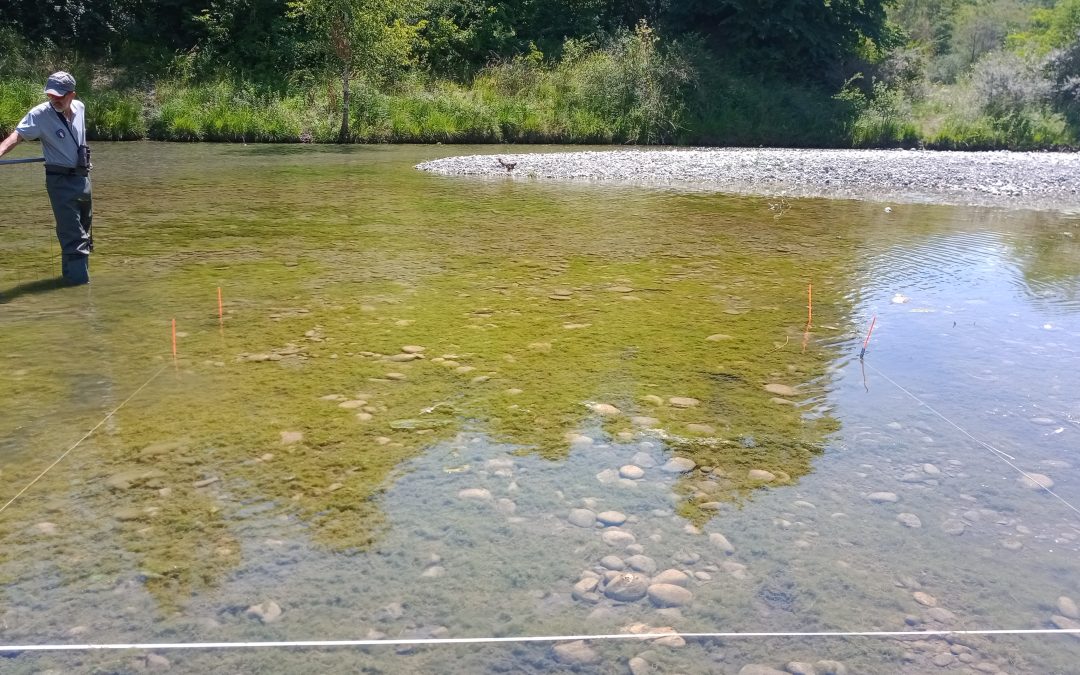 La Rivoire, les premiers effets des travaux de restauration déjà visibles !