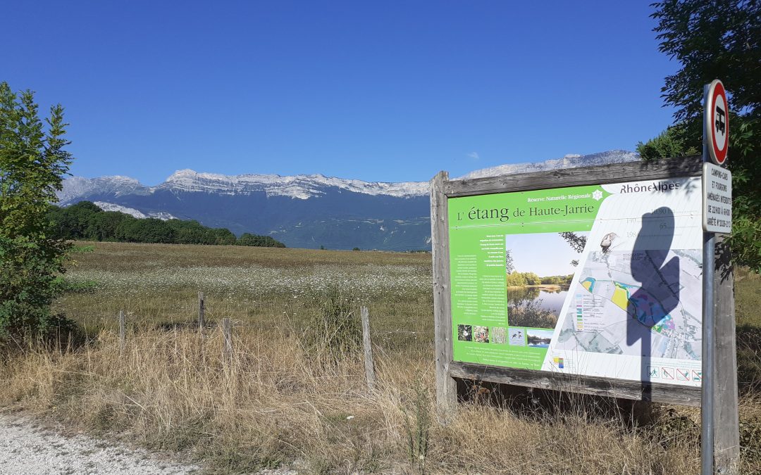 MODIFICATION POUR LE STATIONNEMENT DES BUS ET AUTOCARS